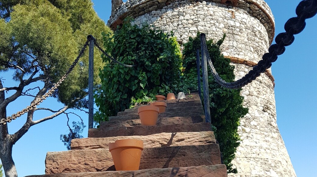 Steps to watch tower by pool
