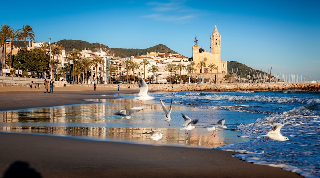 Garraf