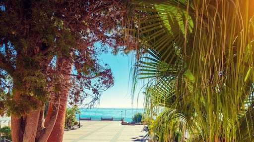 Embankment with palm trees in summer. Nerja, Malaga, Spain. Horizontal banner