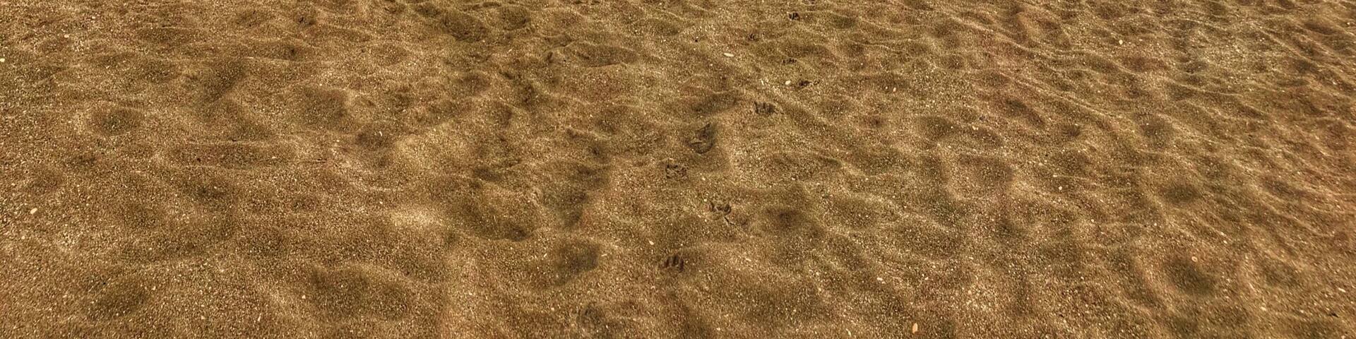 Didn’t have my Nikon with me as I don’t take my best camera abroad with me anymore but you are never without a camera when you have a phone , this was taken in March 18 with a iPhone 8 Plus