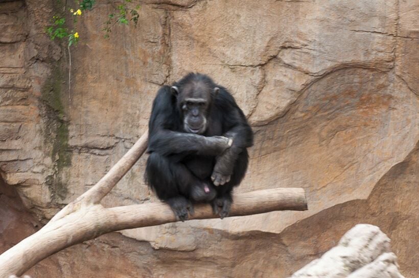 #spain #animals ##landscape #travel #places #zoo