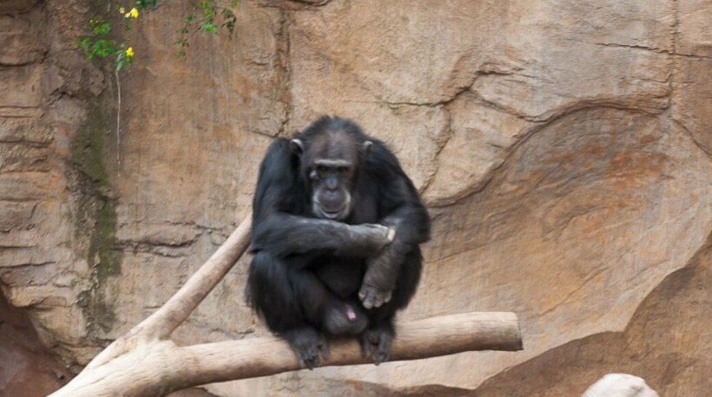 #spain #animals ##landscape #travel #places #zoo