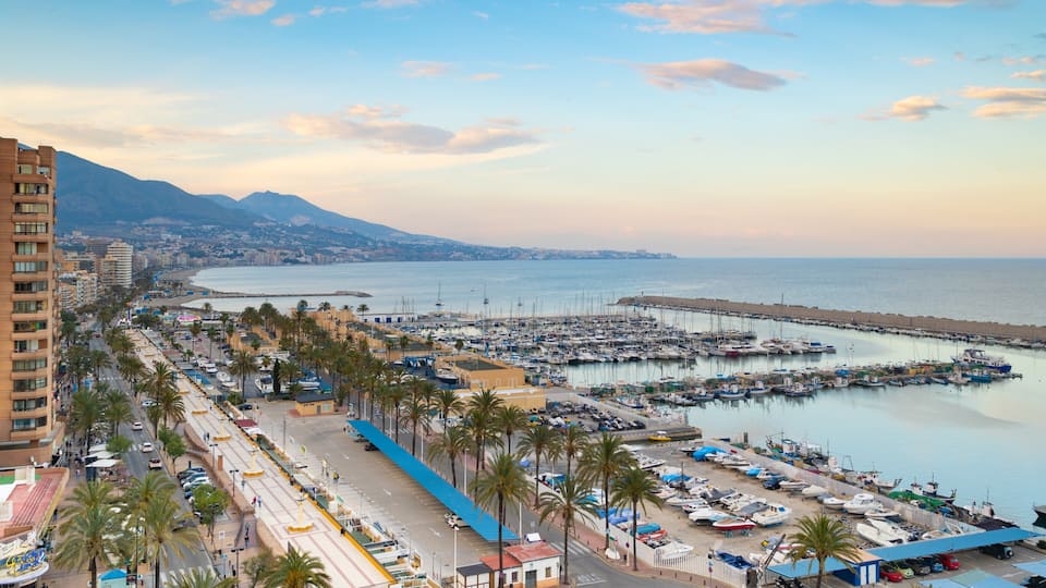 A coastal cityscape with a marina, palm trees, and a mountain in the background.