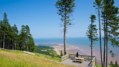 St. Martins presenterar kustutsikter och utsikter