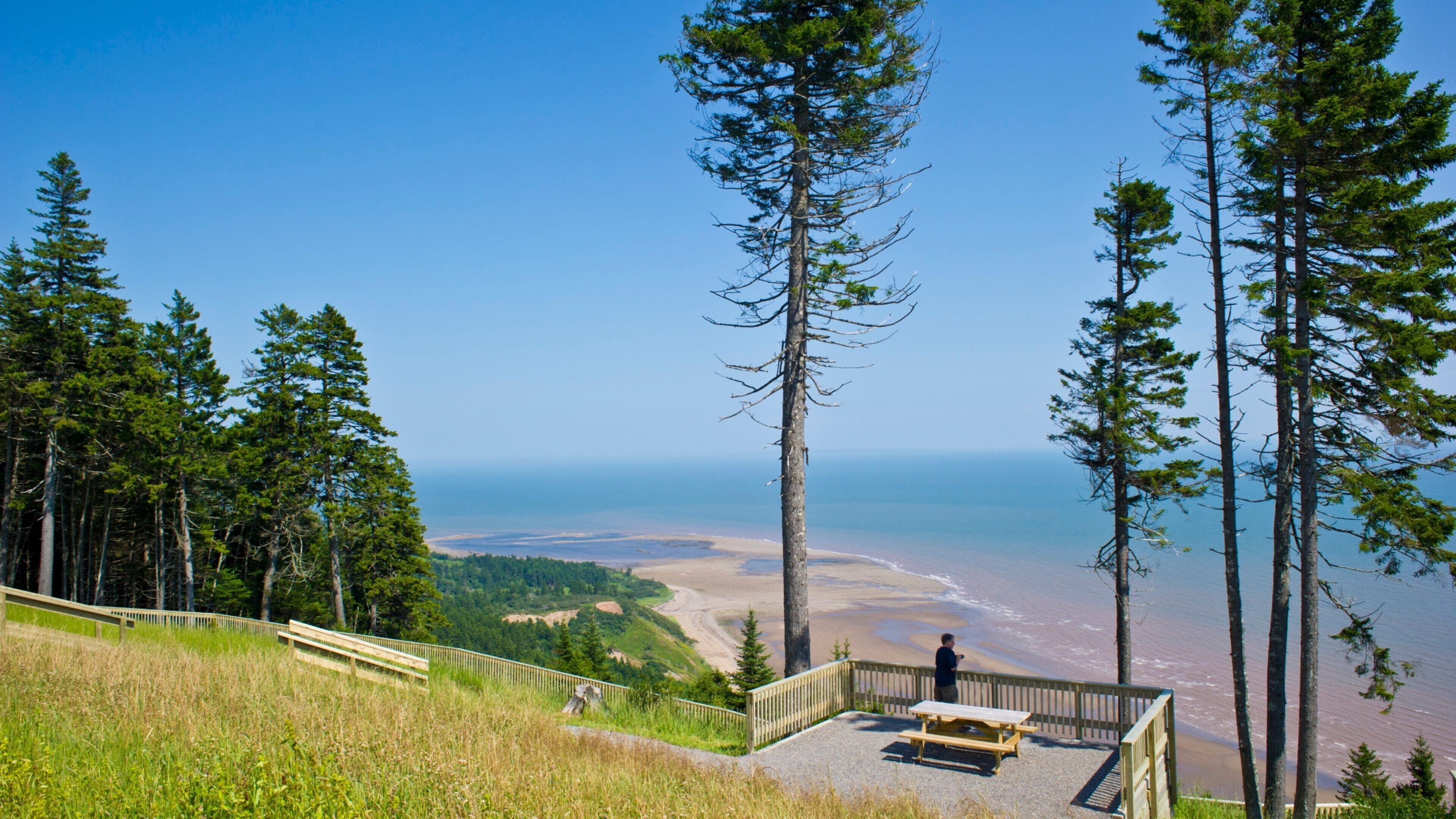 A coastal viewpoint with a wooden bench overlooking a beach and ocean.