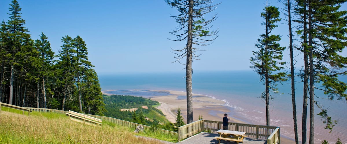A coastal viewpoint with a wooden bench overlooking a beach and ocean.