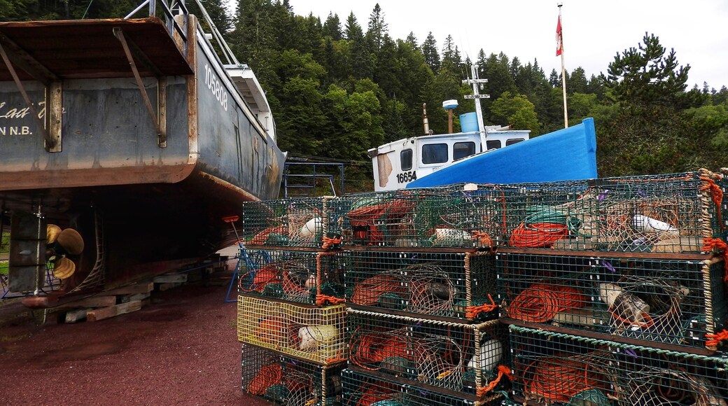 Lobster traps at the harbour in St. Martins. (September 2017)