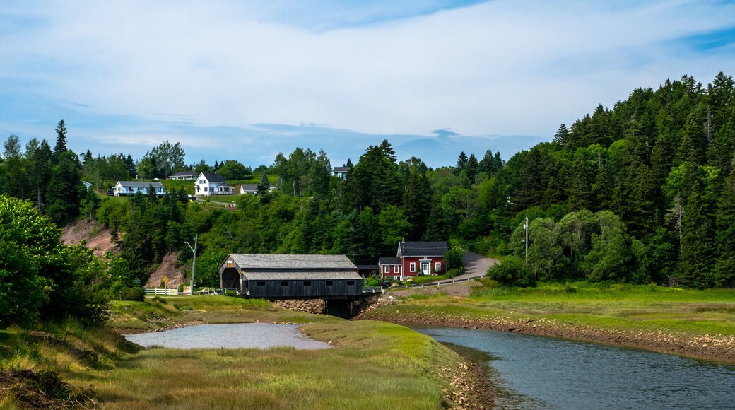 Covered wooden bridge of St. Martins village - N-B