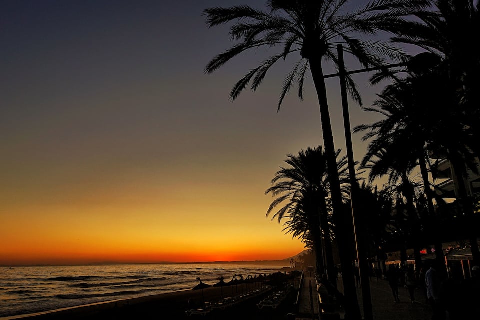 A beach at sunset with palm trees and ocean waves.