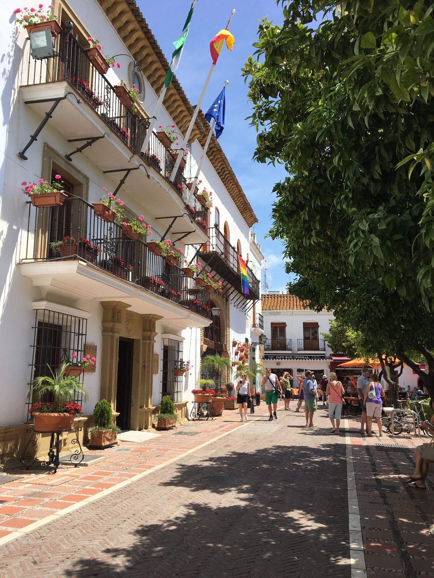 A sunny street with white buildings, balconies with flower boxes, and flags.