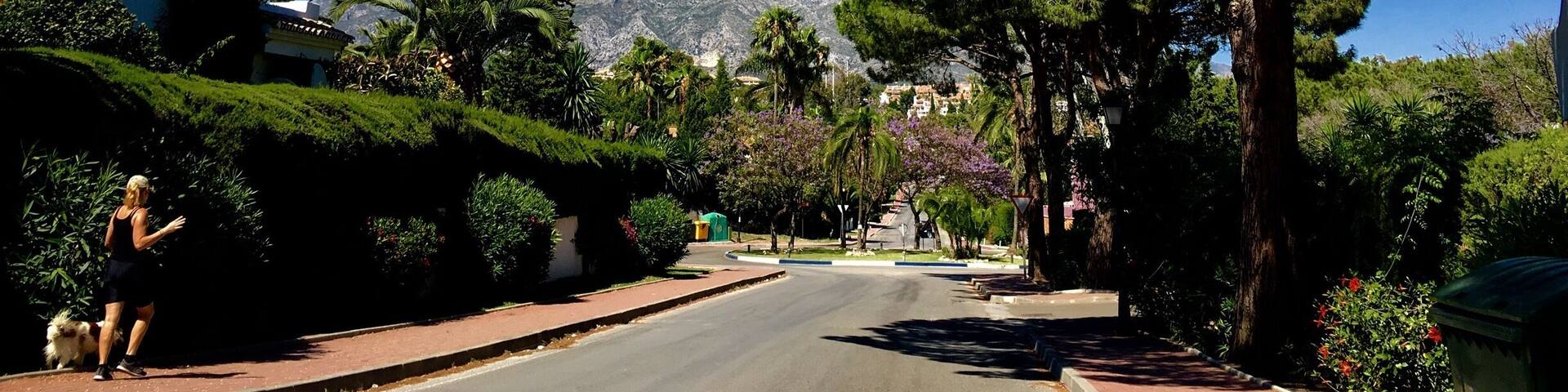 The landscape of Marbella