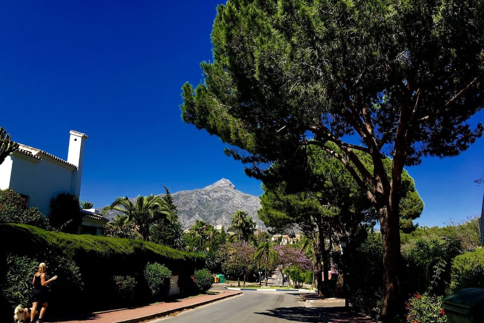 Una calle residencial con una montaña al fondo.