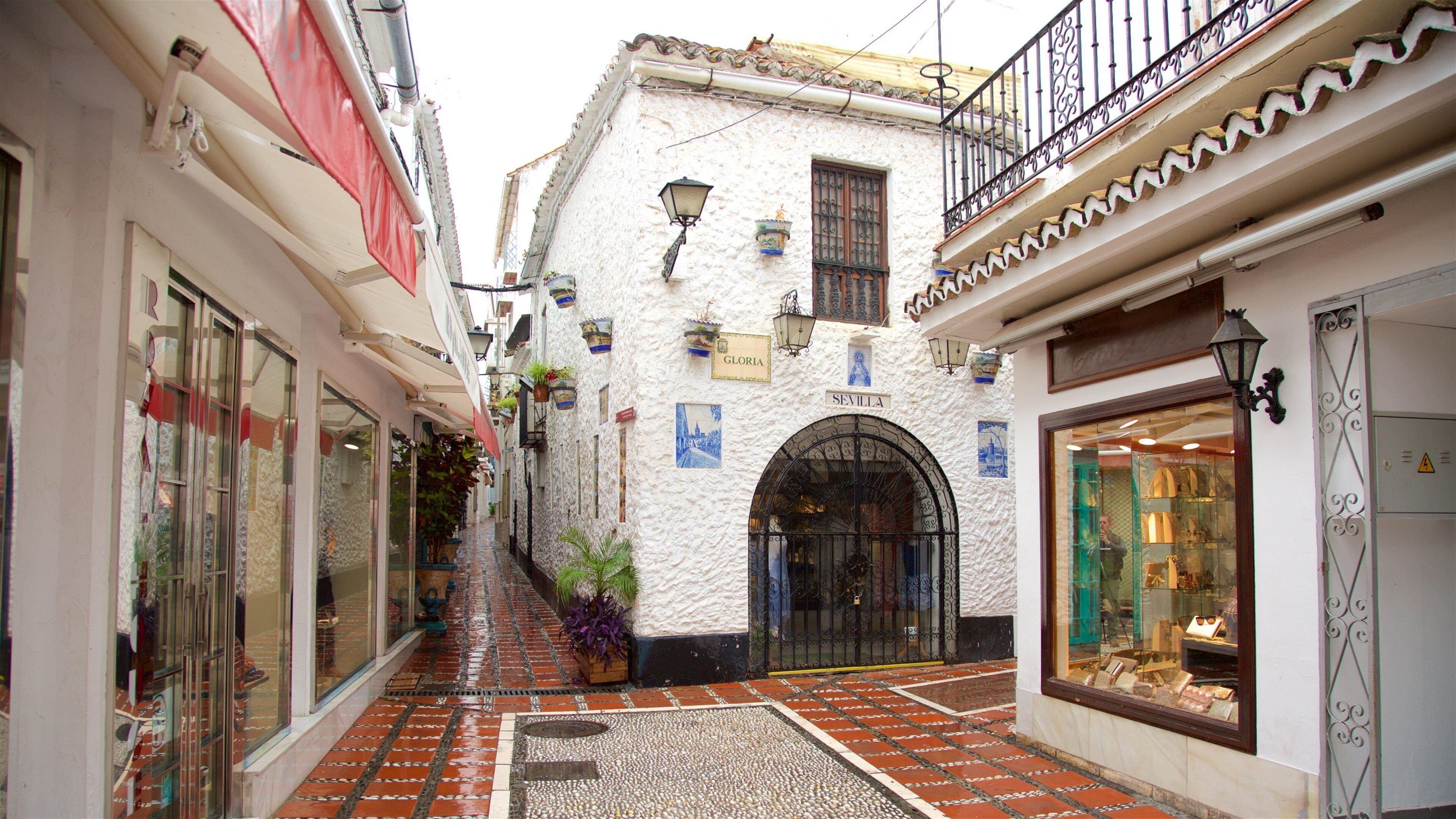 Marbella mostrando escenas cotidianas