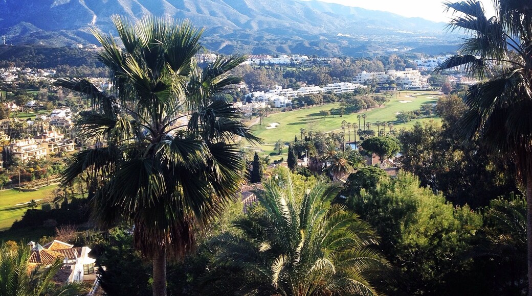 View of La Concha from Magna Marbella, just inland of Puerto Banus