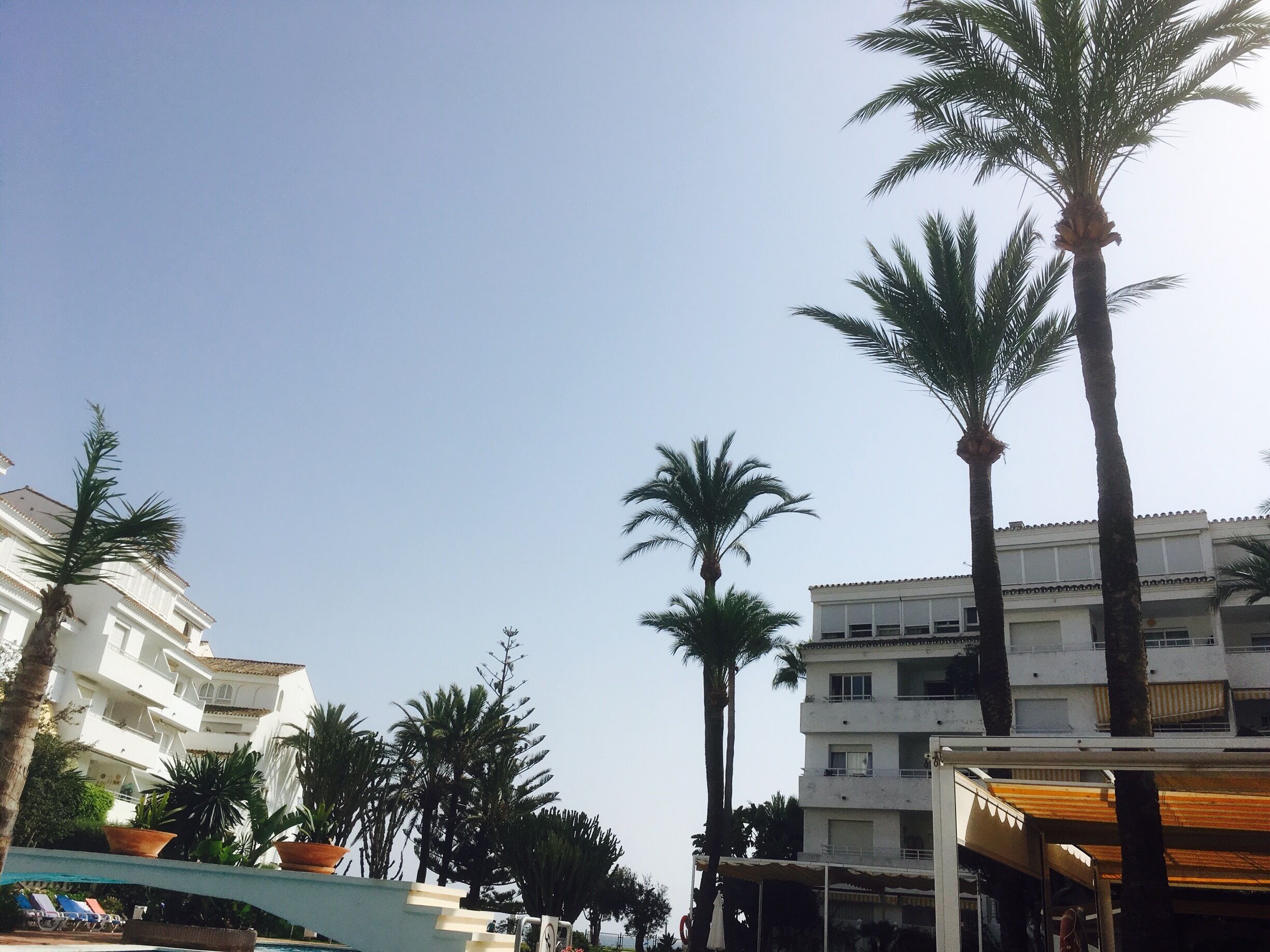 sun 
Pool
Light 
Spain near Marbella 