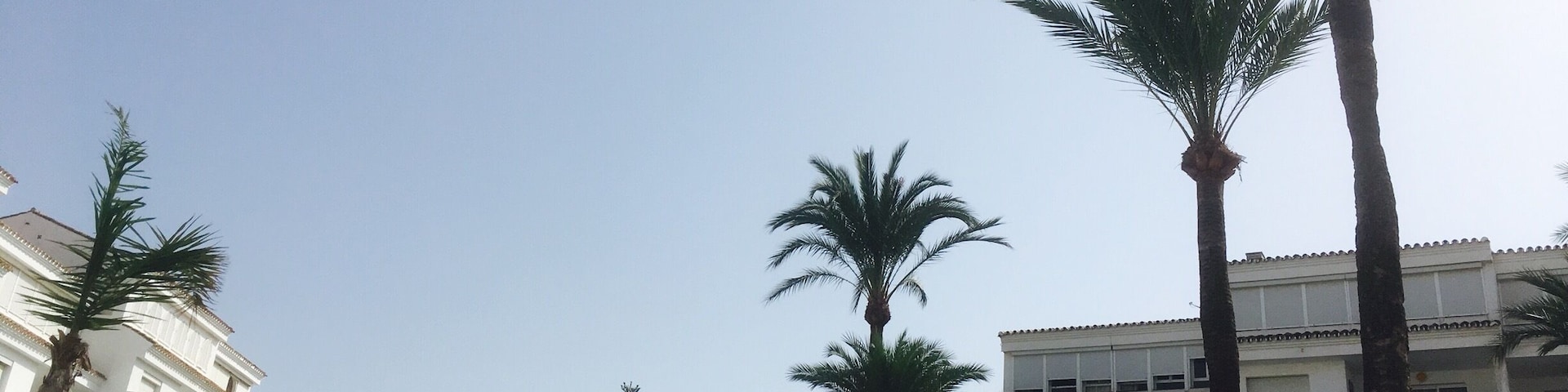 sun 
Pool
Light 
Spain near Marbella