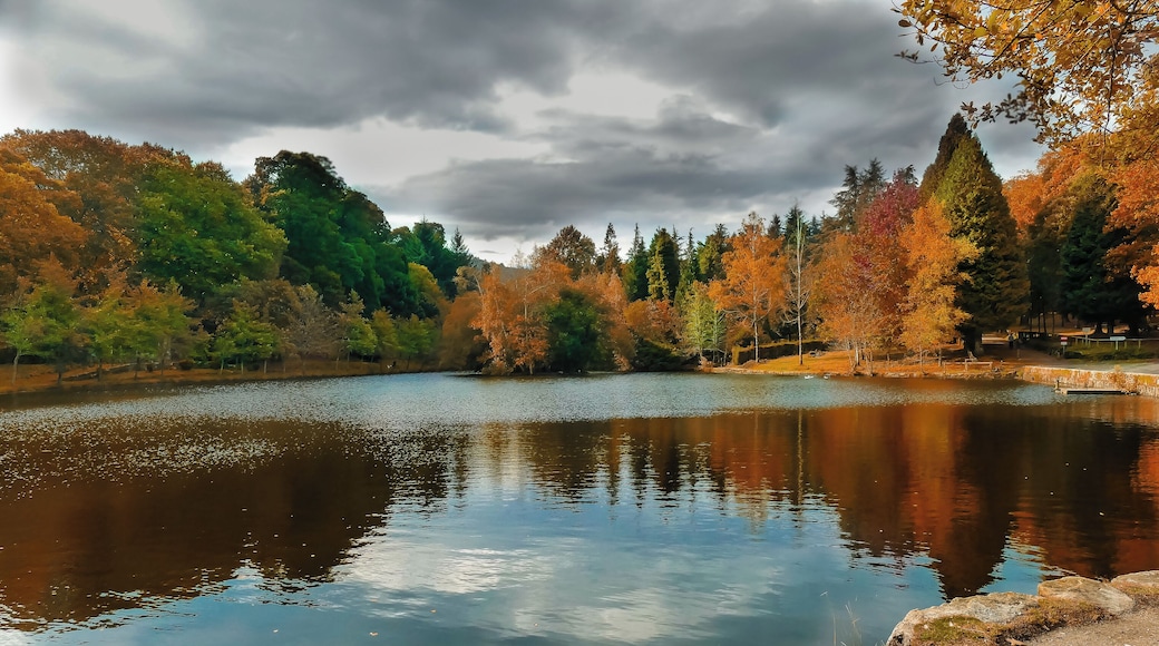 Lago Castiñeiras, cerca de Marín (Galicia, España)