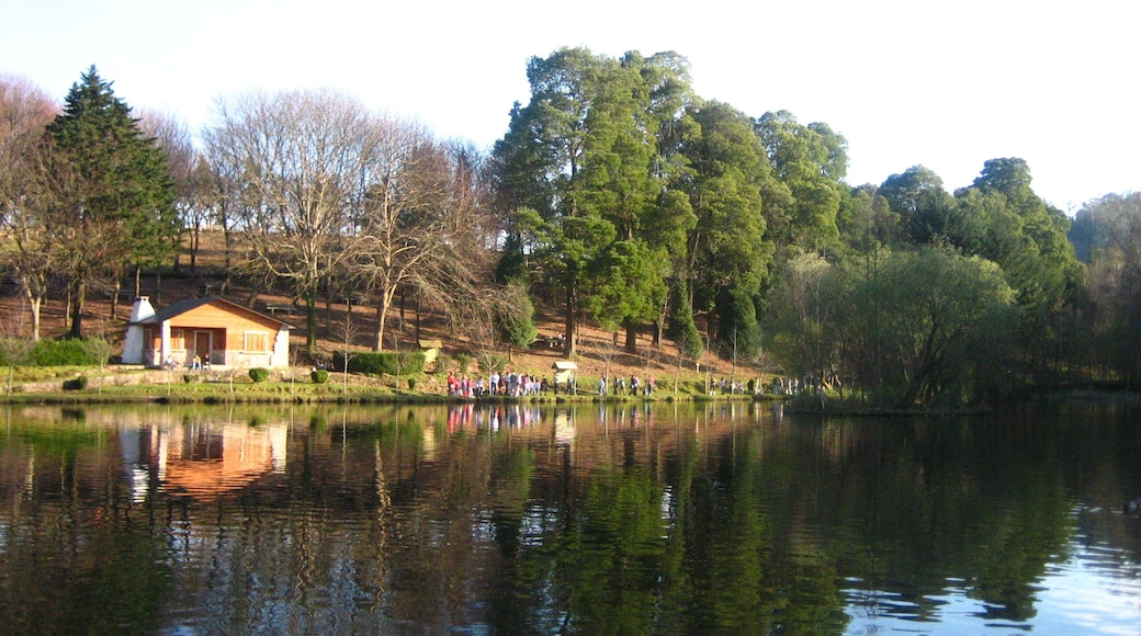 Lago de Castiñeiras