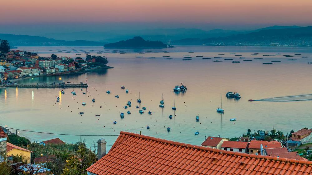 Pontevedra Estuary Panorama