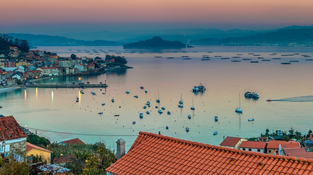 Pontevedra Estuary Panorama
