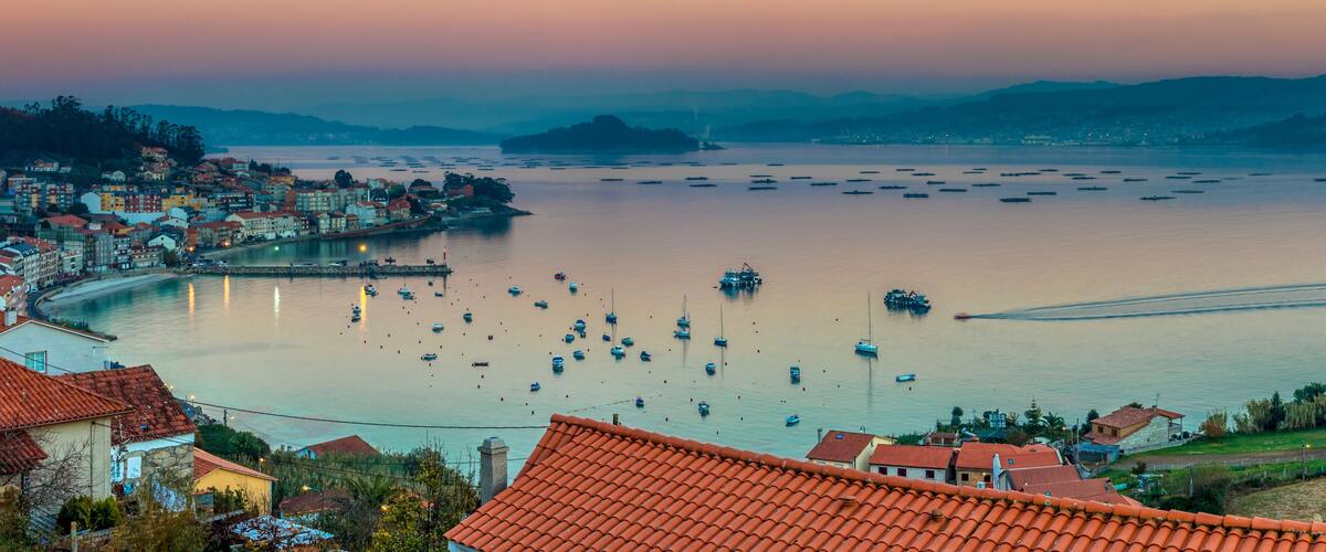 A coastal town with a harbor filled with boats, surrounded by hills and residential buildings with red-tiled roofs.