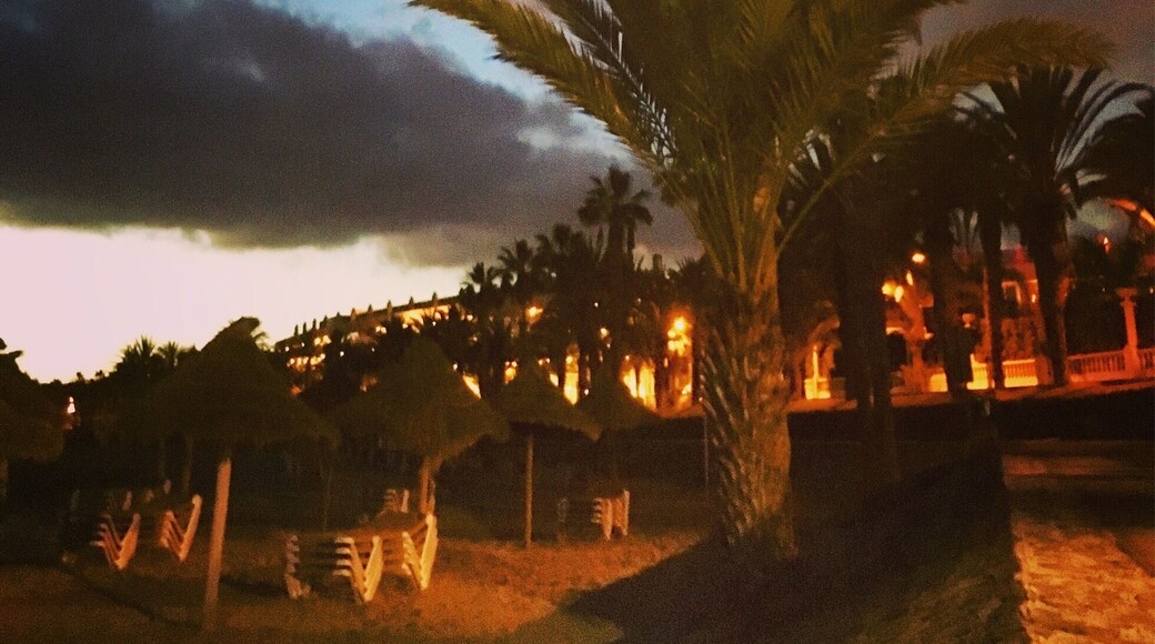 I am having fun in the sun for the next days ☀️🏝🍹