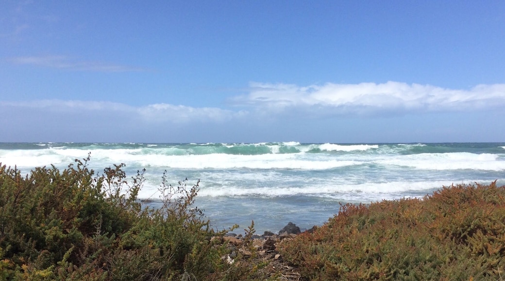 I love waves 😎 🌊