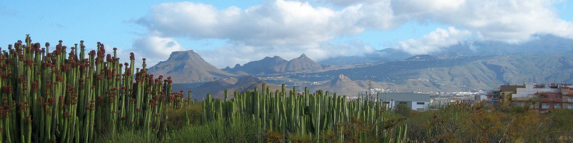 Teneriffa - Süd - La Galletas