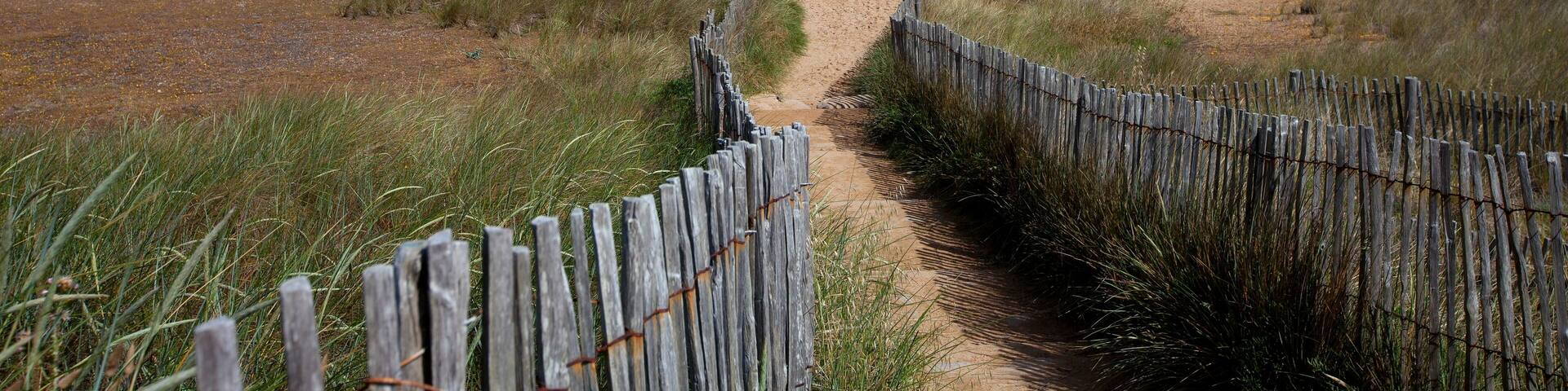 A coastal path leading to a sandy beach with a wooden fence, rocky cliffs, and the ocean.