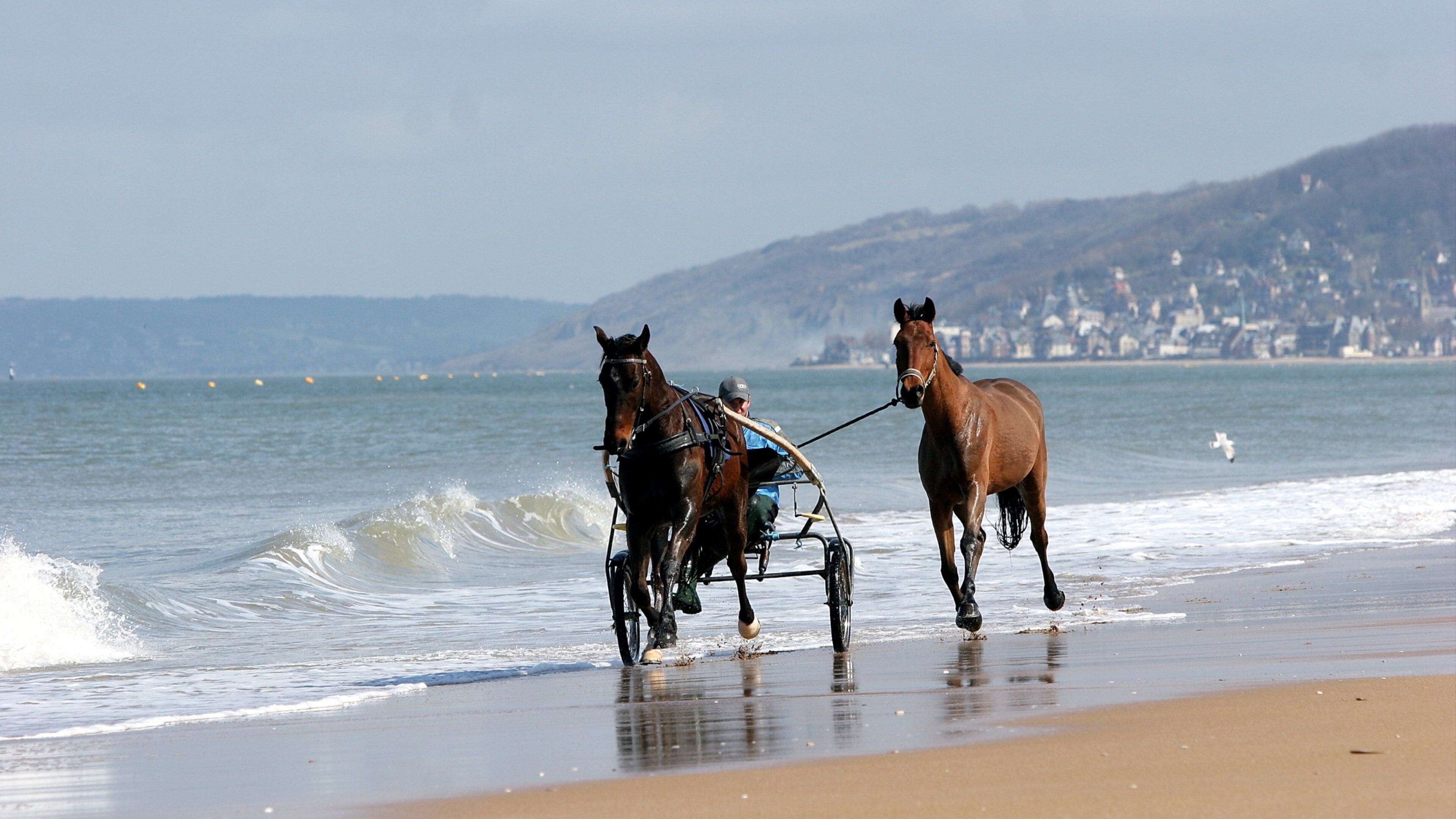 Cabourg featuring landscape views, horseriding and a coastal town