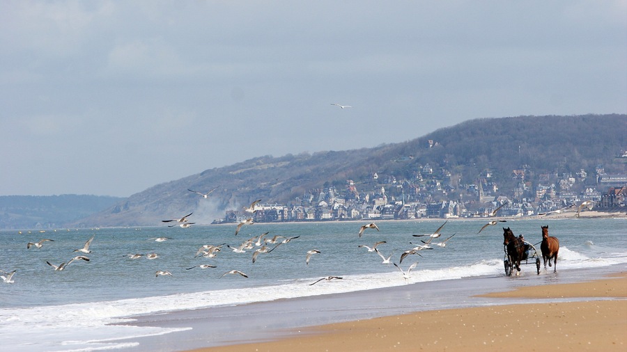 Cabourg which includes horseriding, a coastal town and landscape views