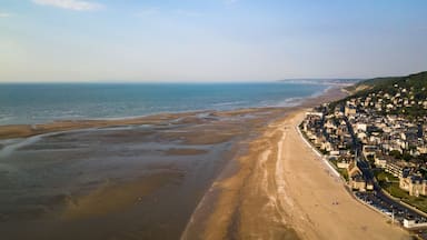 Une ville côtière avec une plage et des maisons le long du rivage.