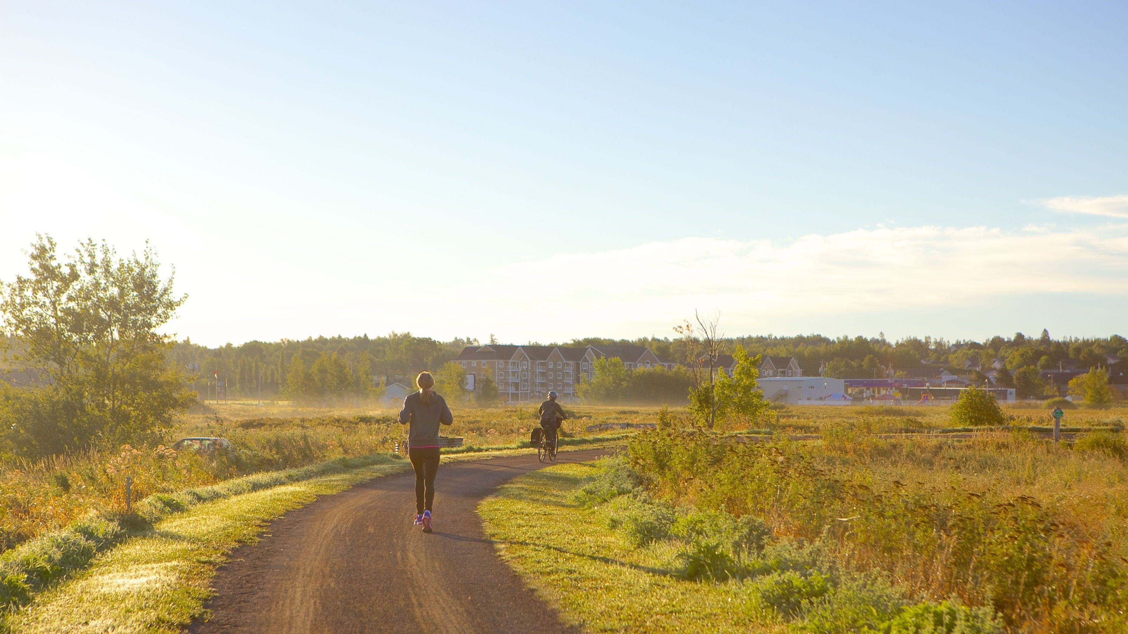 Dieppe featuring tranquil scenes as well as a small group of people