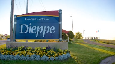 A sign with 'Bienvenue - Welcome' and 'Dieppe' written on it, surrounded by flowers and grass.