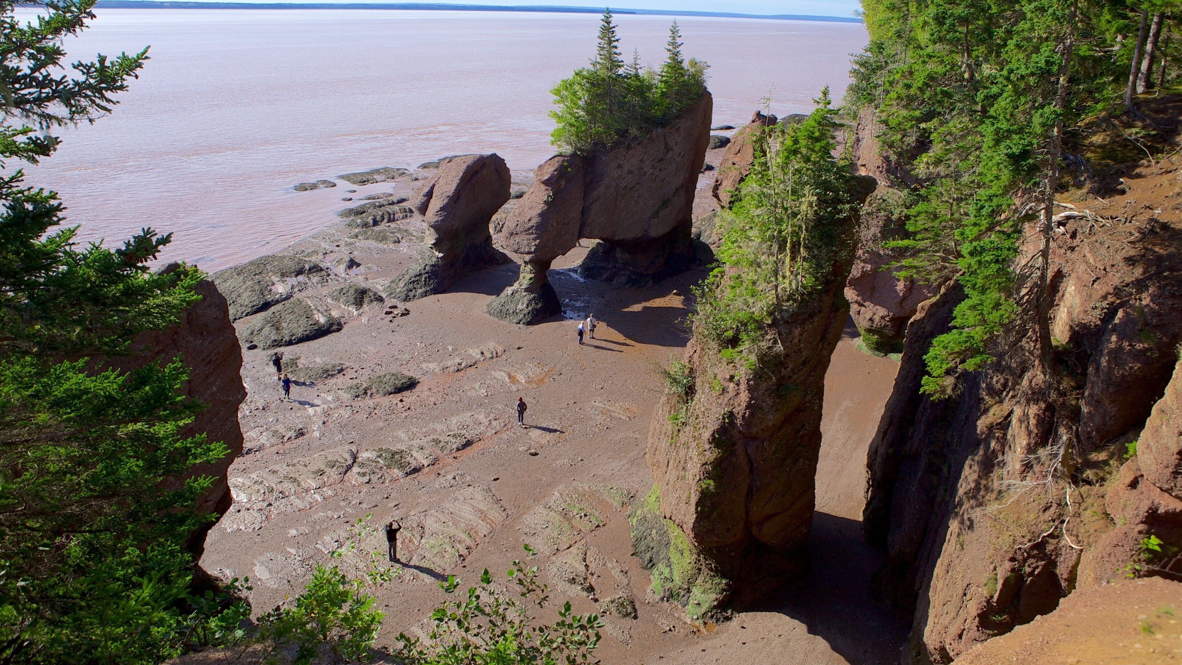A rocky shoreline with large boulders and trees.