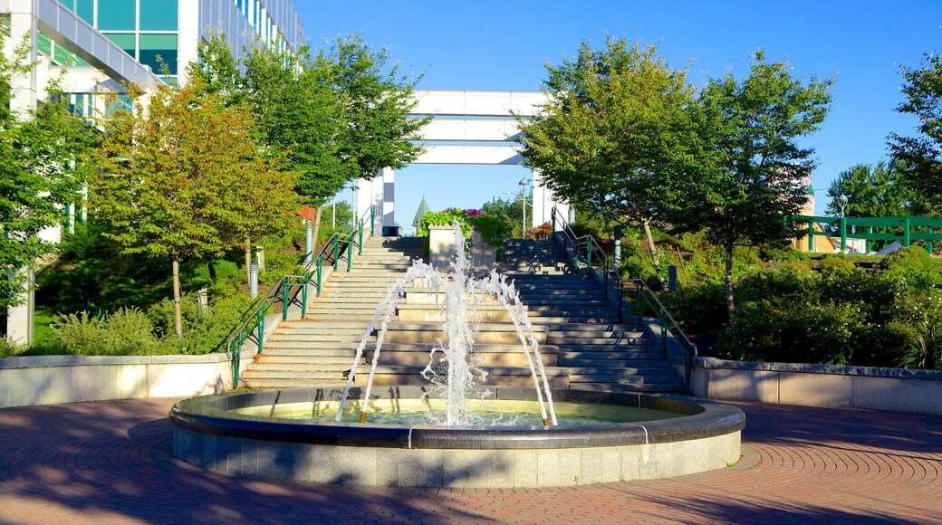 Dieppe featuring a fountain