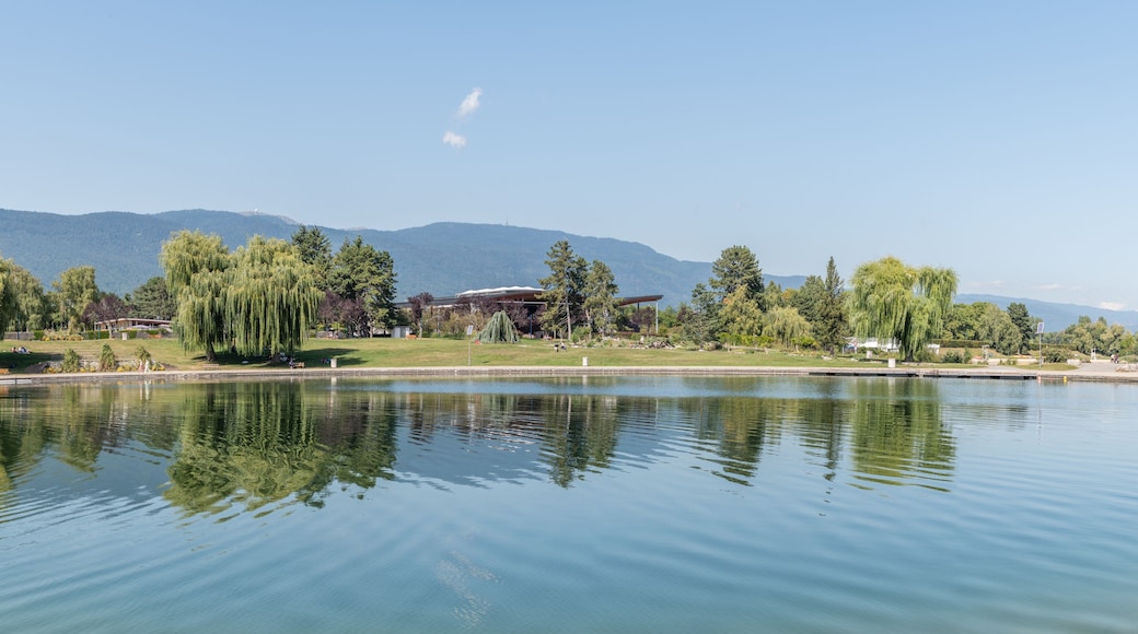 A calm lake with reflections of trees and a building in the background.