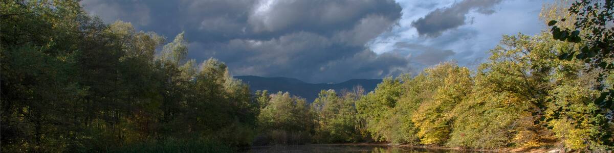 Marais des Bidonnes à Divonne-les-Bains, Ain, France