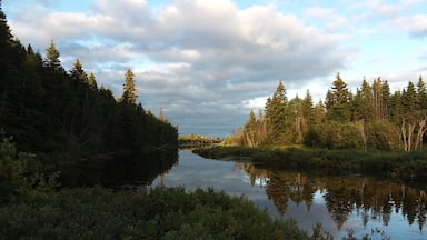 Happy-Valley Goose Bay Labrador Canada; Shutterstock ID 1556770643; Purchase Order: SP-2617; Order Number: CSC Image Research