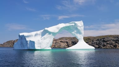 A large iceberg with a distinct arch shape floating in calm waters, surrounded by rocky terrain and a clear blue sky.