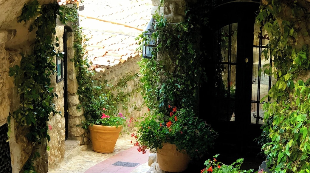 Loved walking the cobblestone streets of this ancient town.