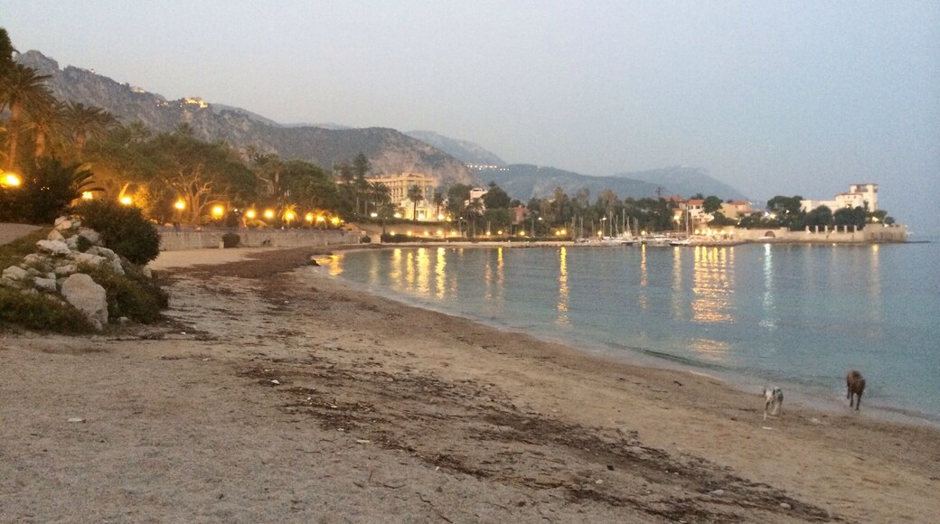 A quiet time at dusk for the dogs to enjoy the beach and sea. #BeachBound