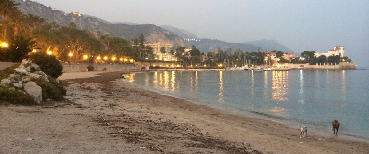 A quiet time at dusk for the dogs to enjoy the beach and sea. #BeachBound