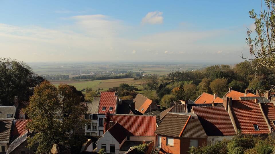 A village with red-tiled roofs and green fields in the background.