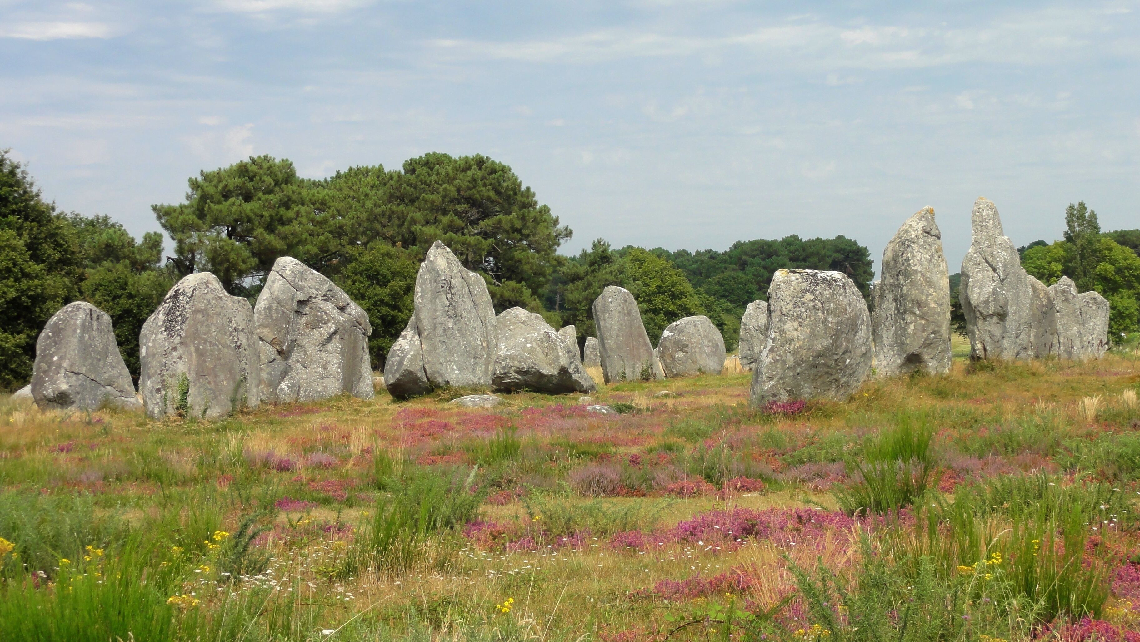 A field of large standing stones surrounded by a variety of wildflowers and trees.