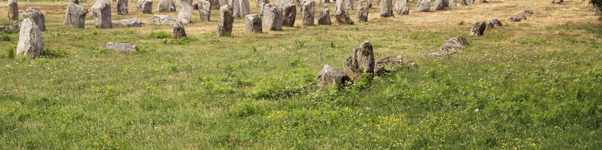 Alignement de Kermanio: archaeological site near Carnac, Brittany
