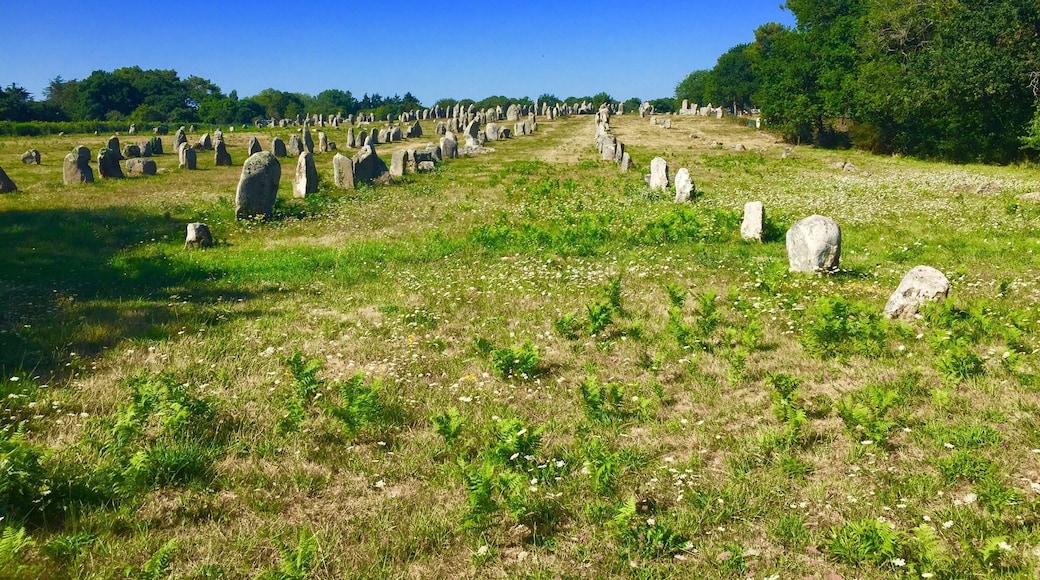Auray Quiberon Terre Atlantique
