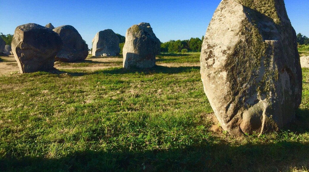 Thousands of prehistoric standing stones that predate Stonehenge and the Pyramids.