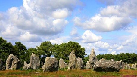 Un champ parsemé de grandes pierres dressées, avec en arrière-plan des arbres et un ciel partiellement nuageux.