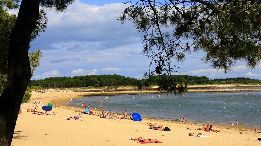 Carnac som visar en sandstrand